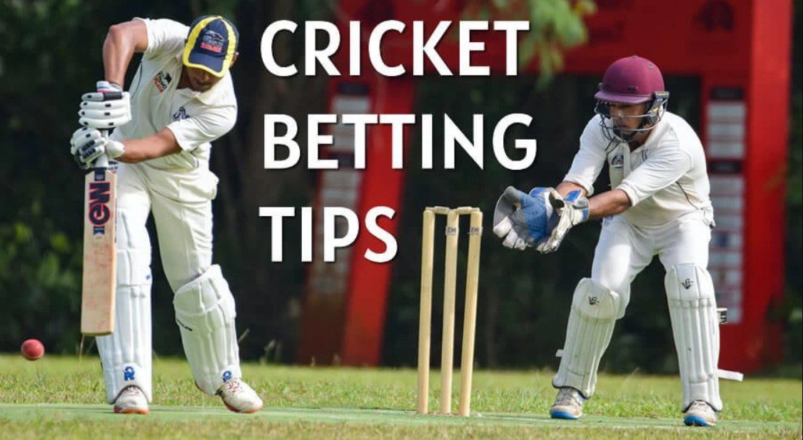 online-cricket-betting-tips-and-tricks